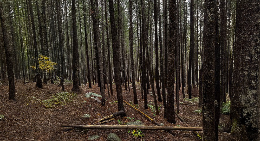 Gear for the Prepared Mind